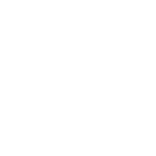 Accessibility icon